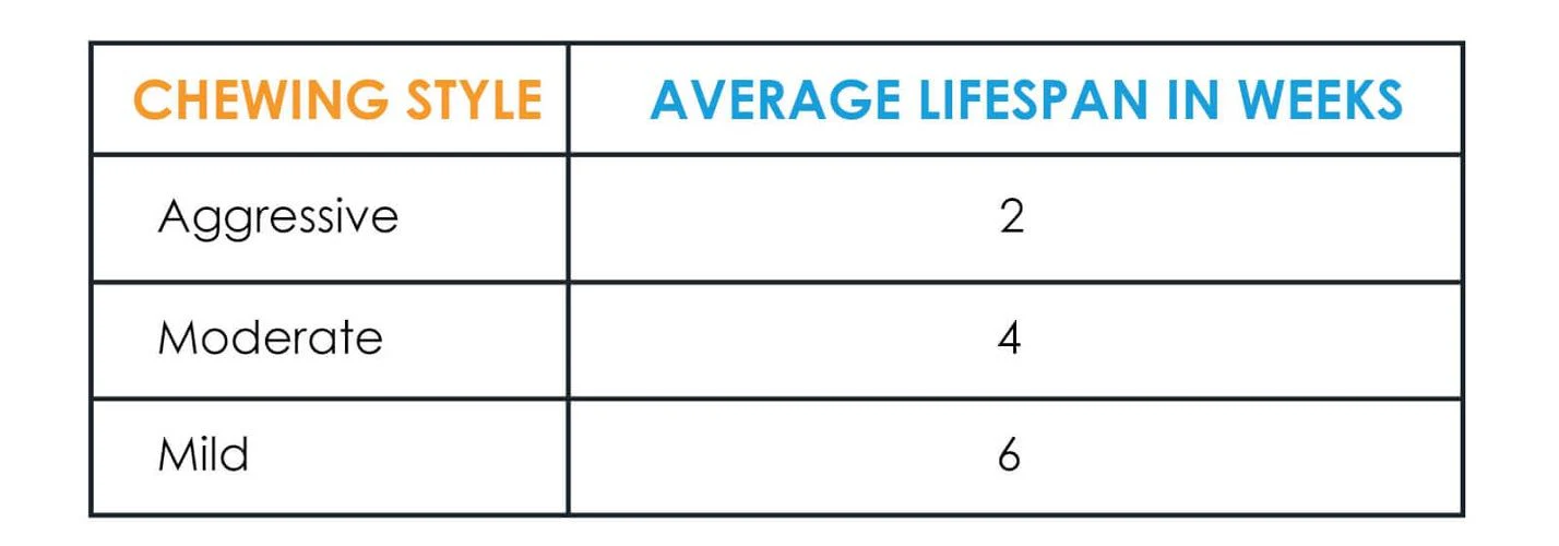 Chewigem (Kids) - Flip Bangle (Pack of 2) - Image 4